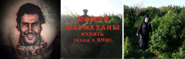 гашик Волосово