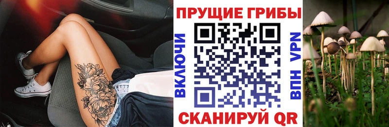 Псилоцибиновые грибы мухоморы  Дигора 